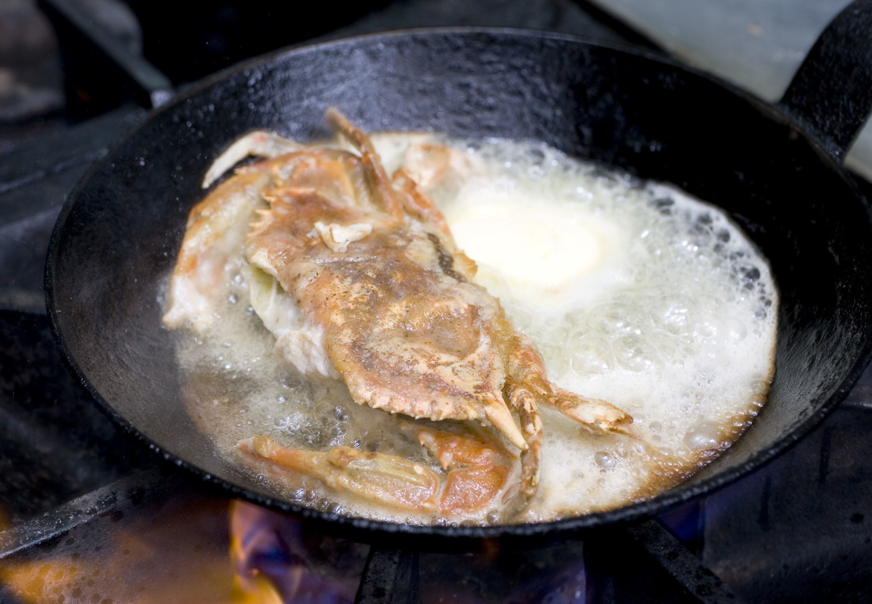 SoftShellCrab 3.JPG